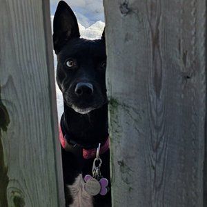 Meet your Posher, Diane